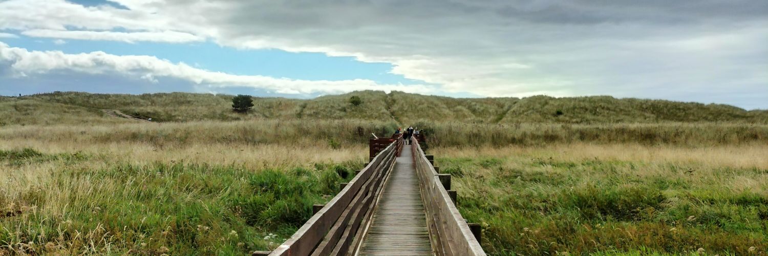 The Cobb Group banner