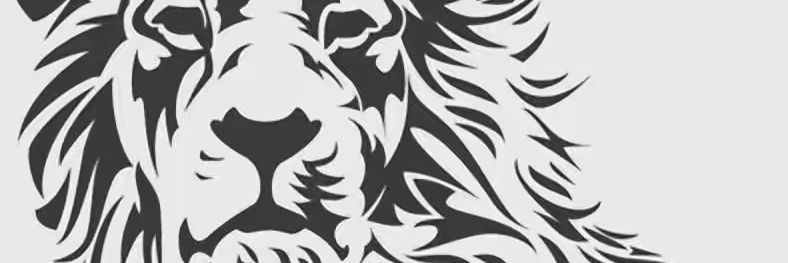 Franklin Magweth (DonMan) banner