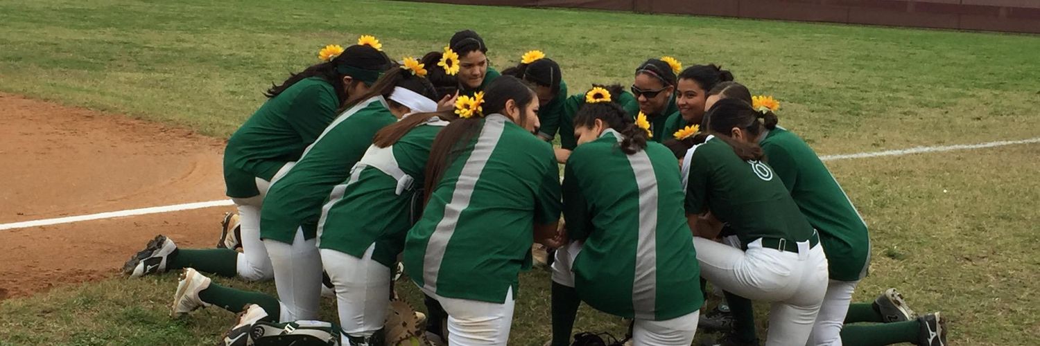 Lady Dog Softball banner