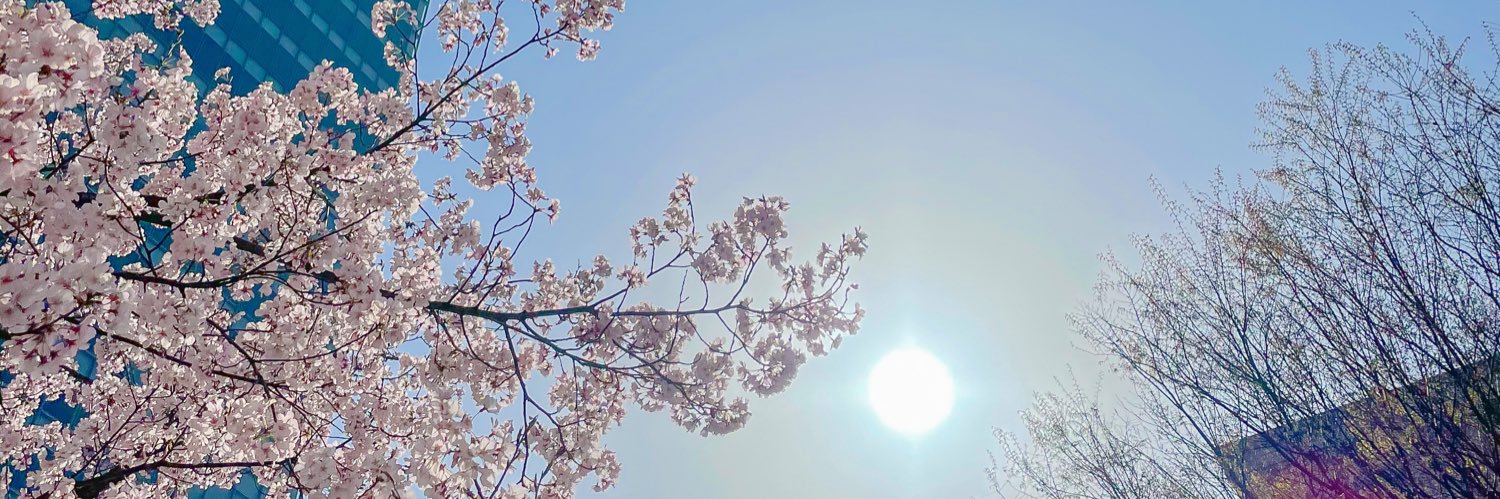 ka_na653's profile banner image