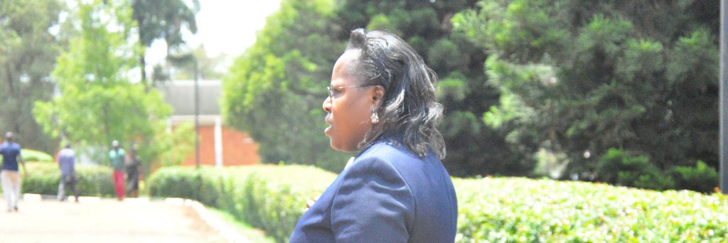 Princess Kabakumba M banner