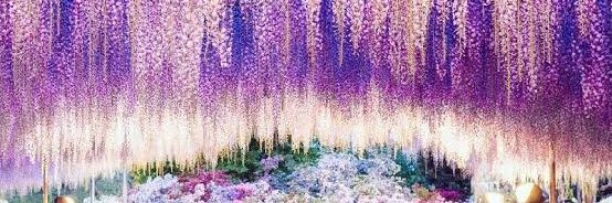 natasya_i's profile banner image