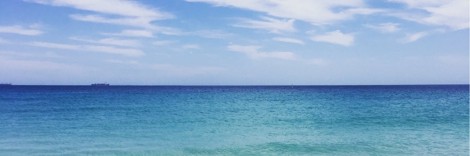 michellehammo's profile banner image