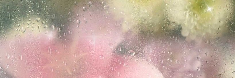 denisedarl's profile banner image
