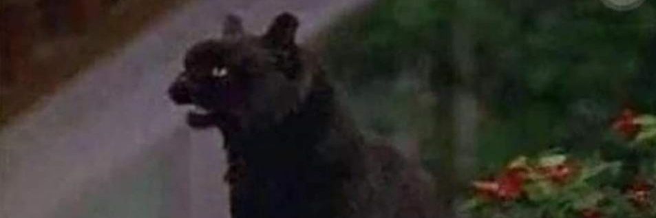 zzito_'s profile banner image