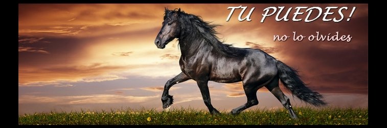 AdrianCito ♊ banner