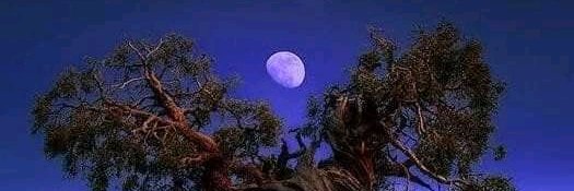 TshepisOOsipehs's profile banner image