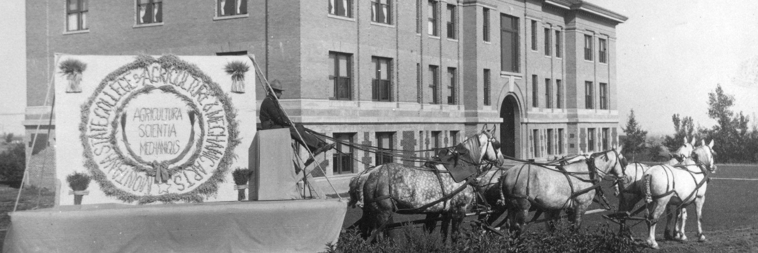 Sreekala Bajwa banner