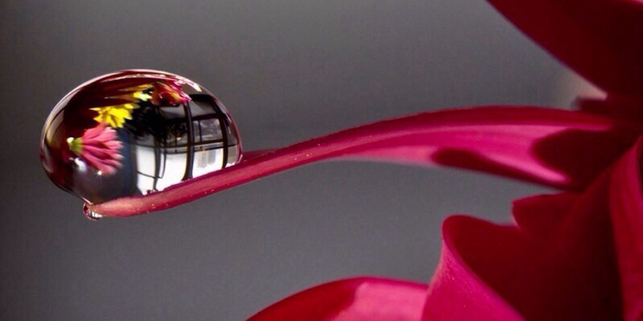 ragaa4496's profile banner image