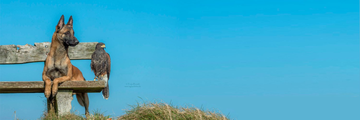 Curro Romera banner