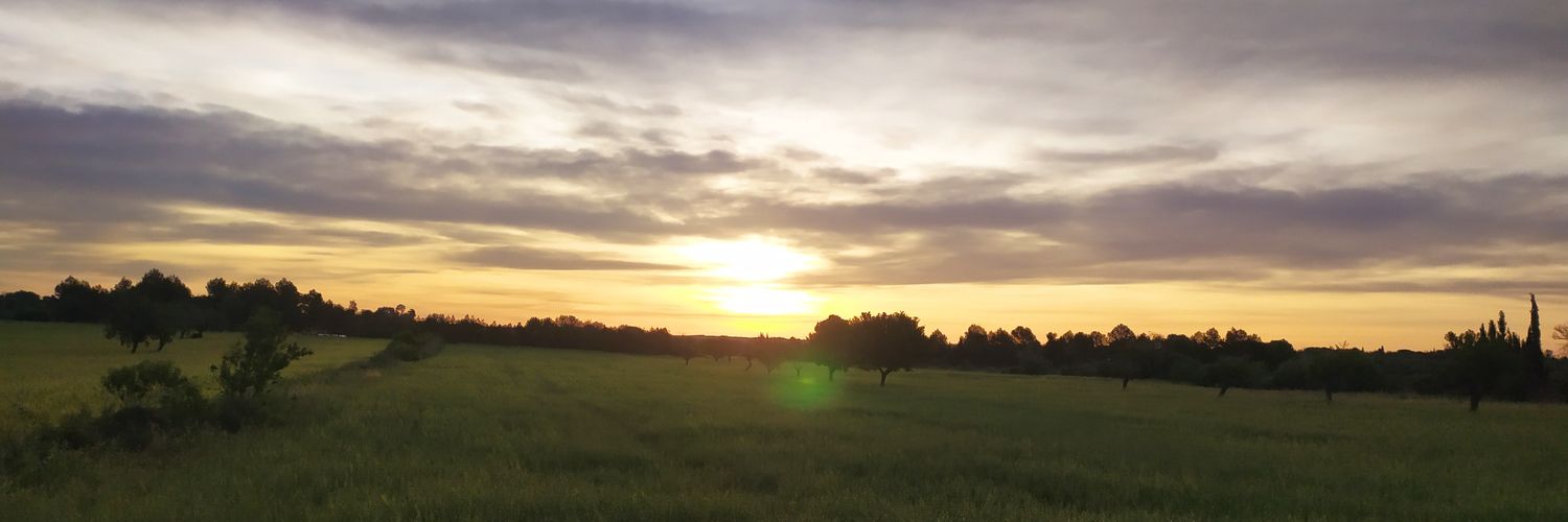 irinadlcari's profile banner image