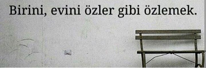 DelininBiri banner