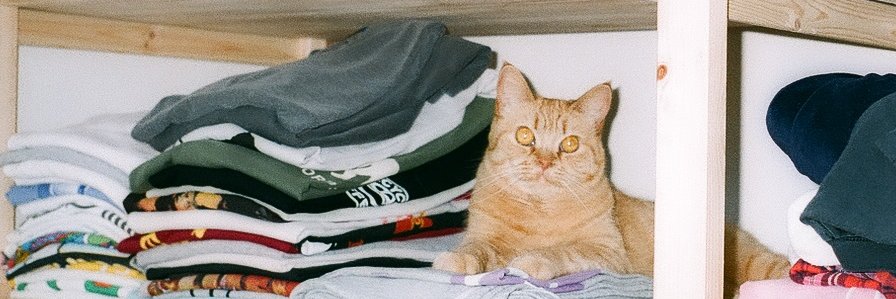 TOSHIKI HAYASHI(%C) banner