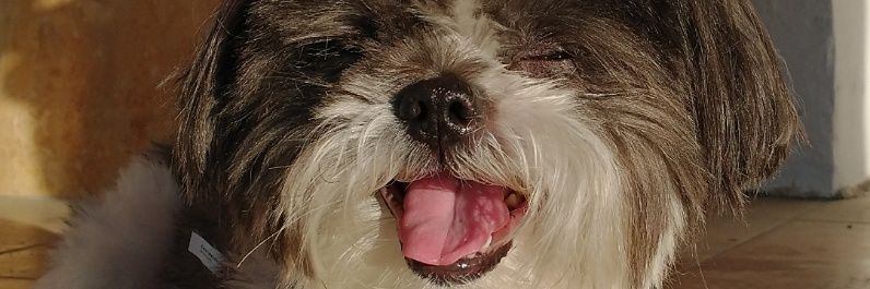 ClaudiaMS4's profile banner image