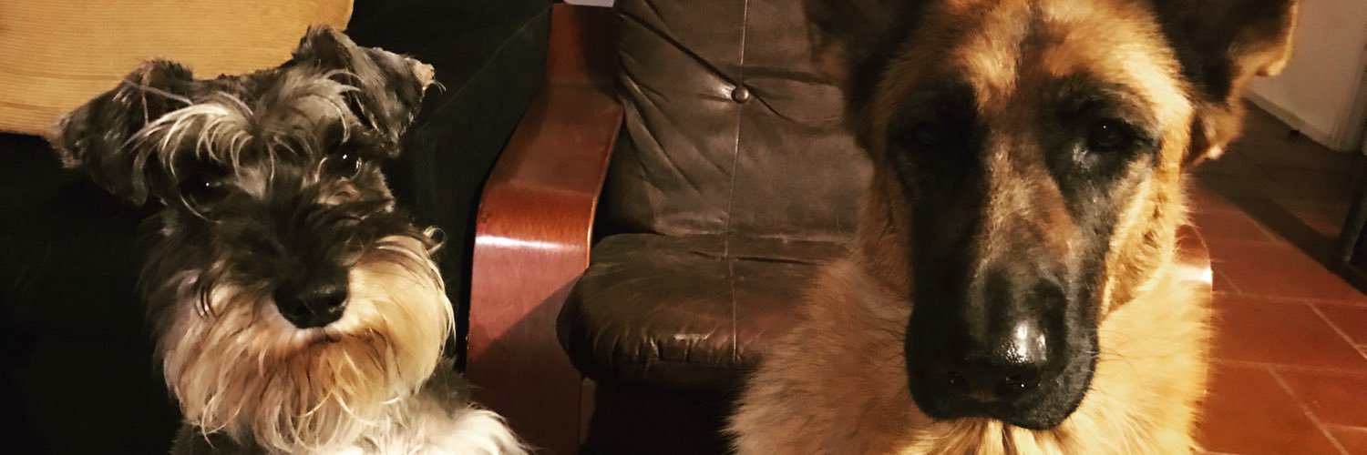 Camila Guzmán Aguilera banner