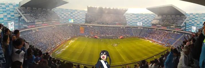 Papelito jr. banner