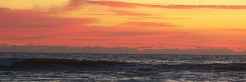 Dr. Janene Gorham banner