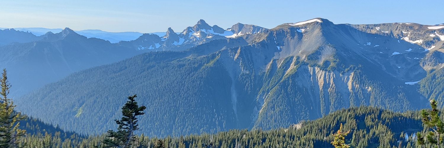 SamWildflowa's profile banner image