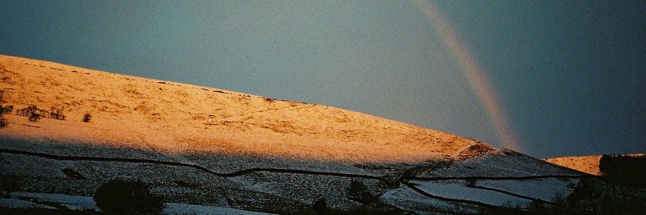 Mamnick™ banner