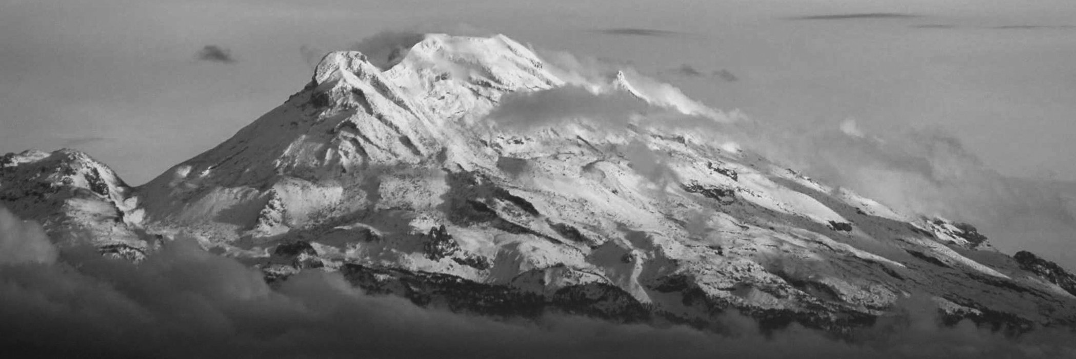_Robse's profile banner image