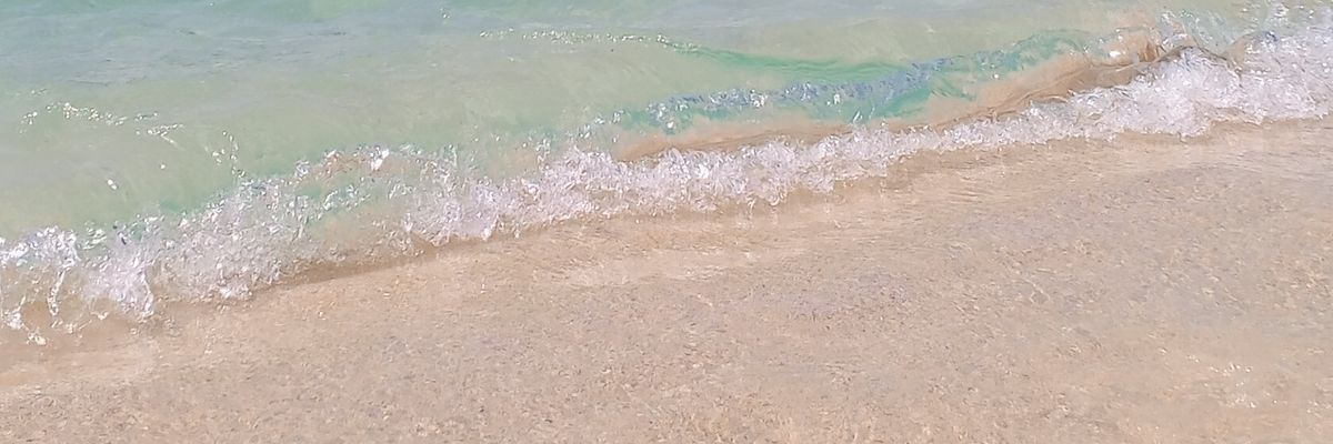 chepina06's profile banner image