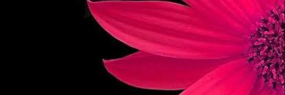 akshaprabha's profile banner image