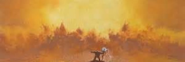 TCGRUSH's profile banner image