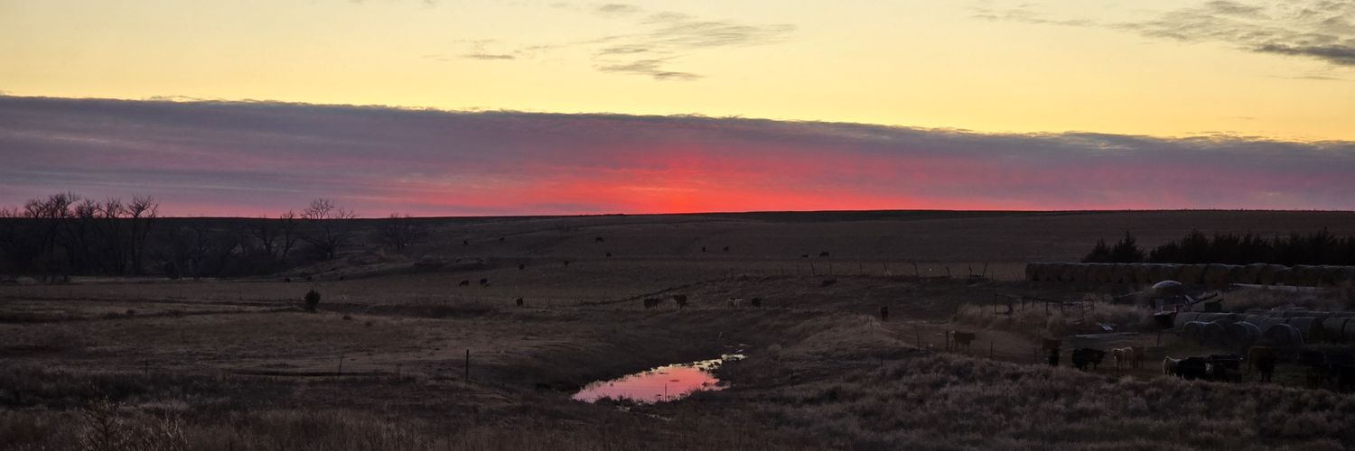 NicholasWente's profile banner image