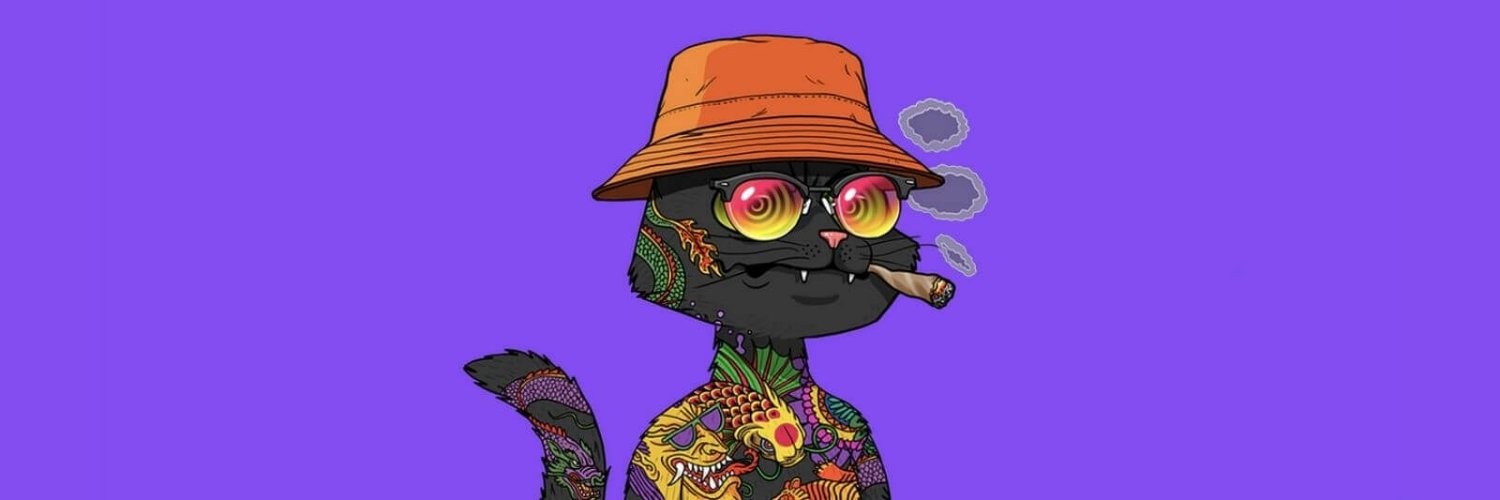 lamma_sani's profile banner image