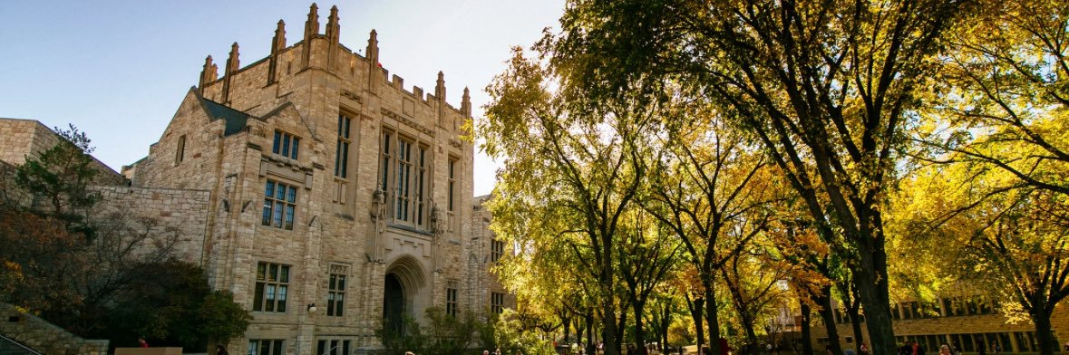 Deidre (Dee) Henne banner