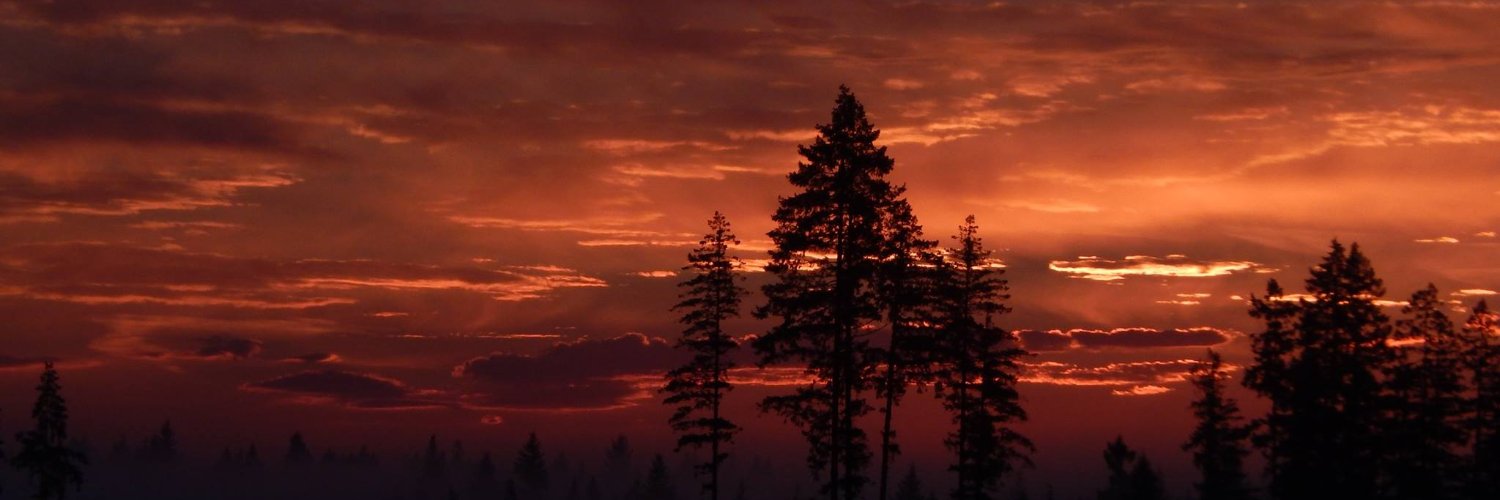 JoeUSPublic's profile banner image