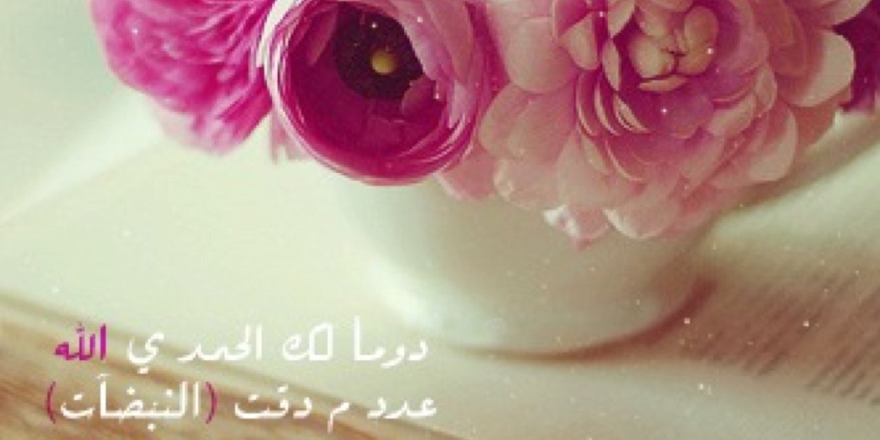 Haneen2451's profile banner image