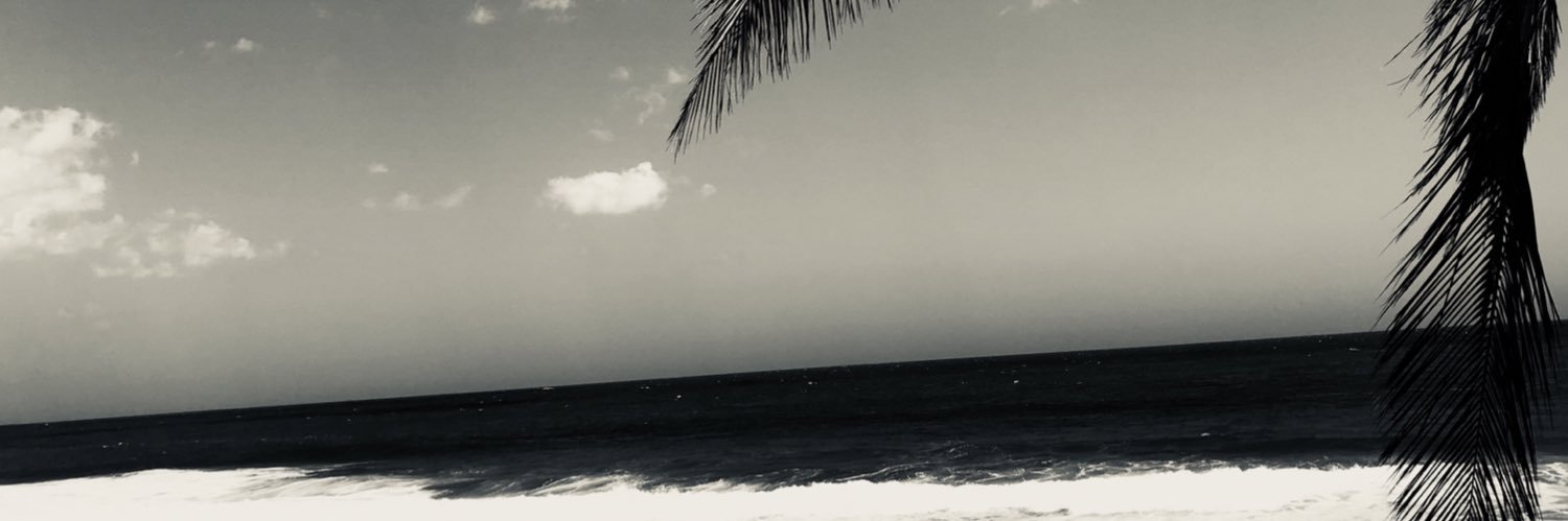 maryyR216's profile banner image