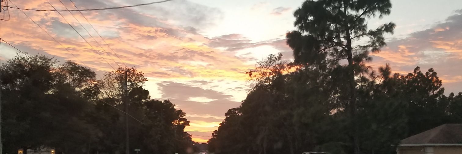 BrookeFridy's profile banner image