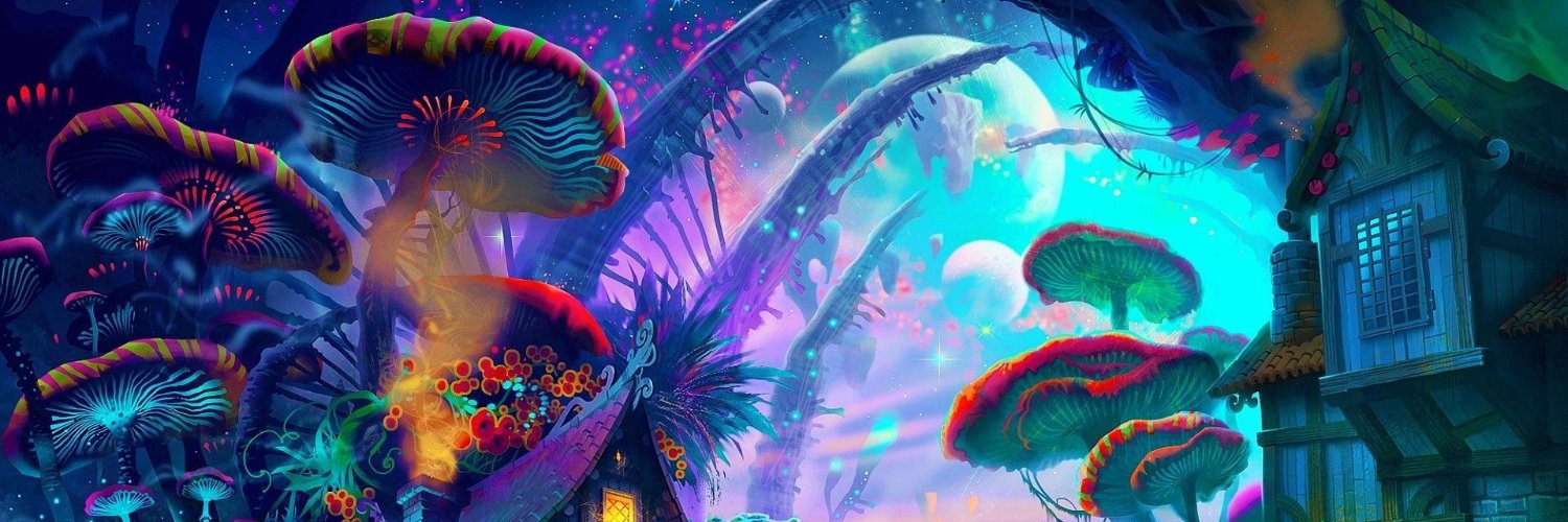 Kaylee George banner