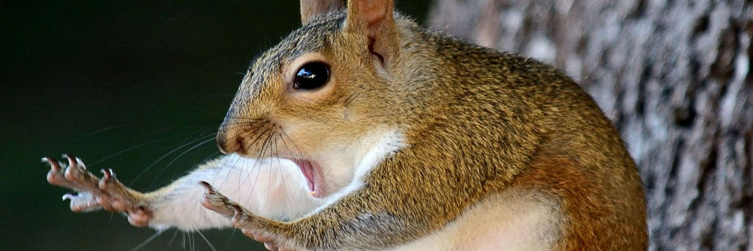 Alejandro Pesquero banner