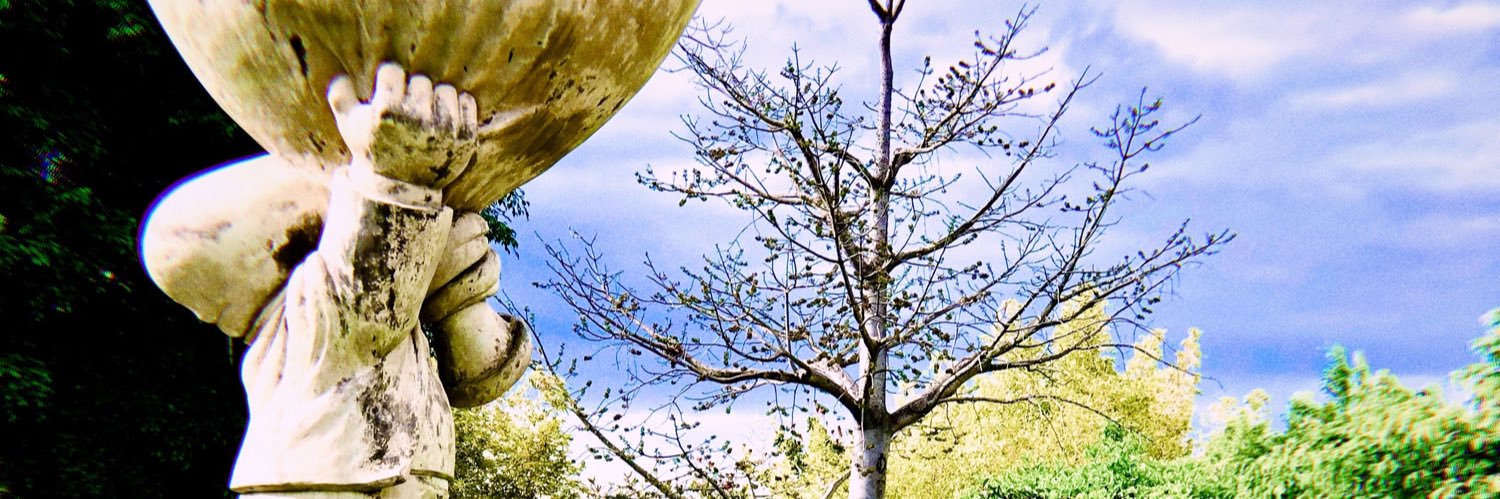 SucilD's profile banner image