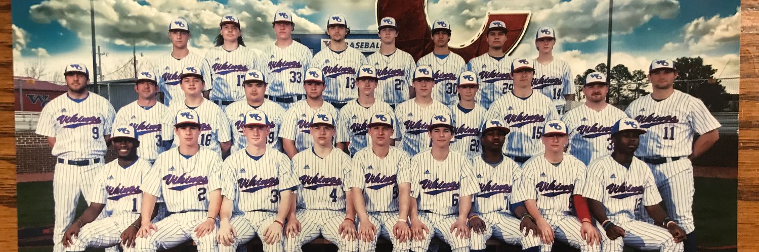 Viking_Baseball's profile banner image