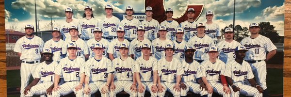 Viking_Baseball Profile Banner