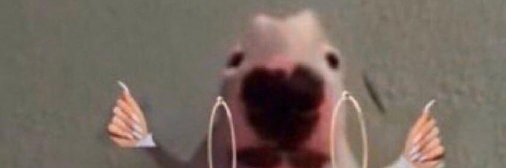 waddlez12's profile banner image