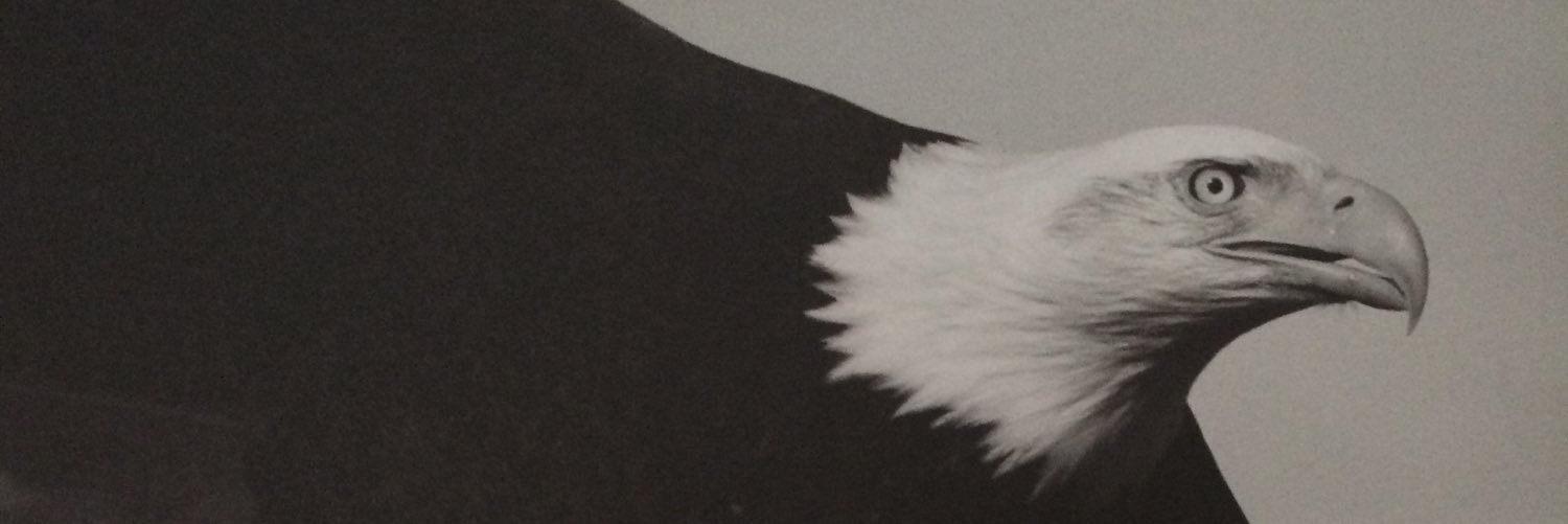 andreabianco13's profile banner image