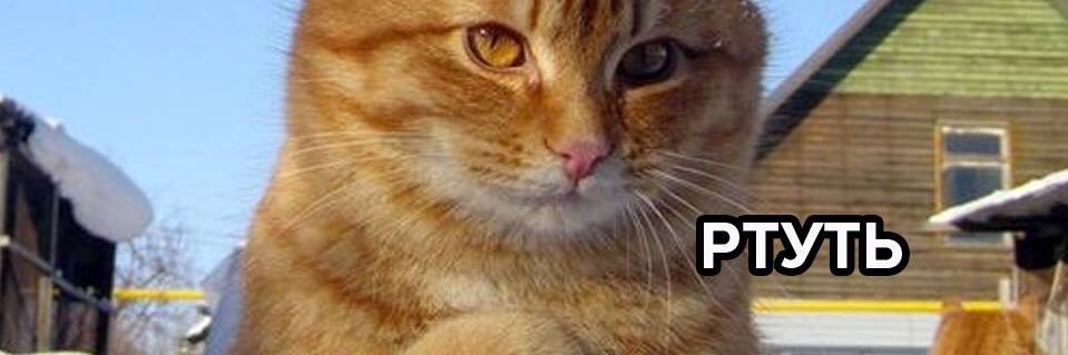 Кузьмин banner