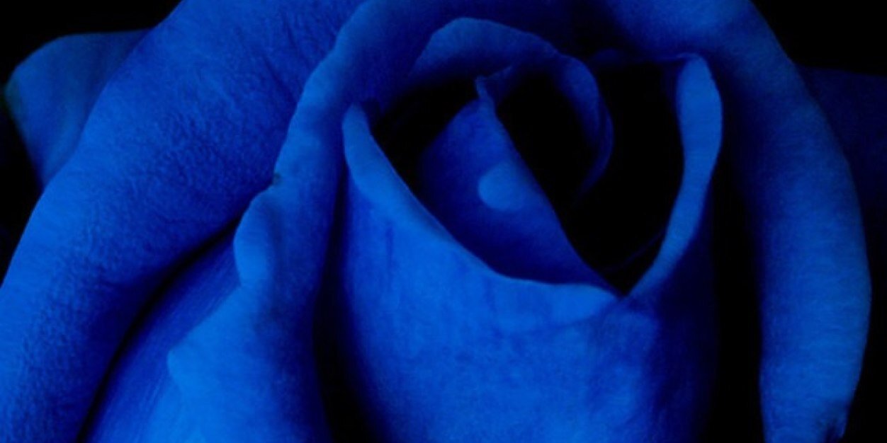 MandaB78's profile banner image