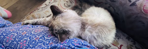 spicuzzza Profile Banner