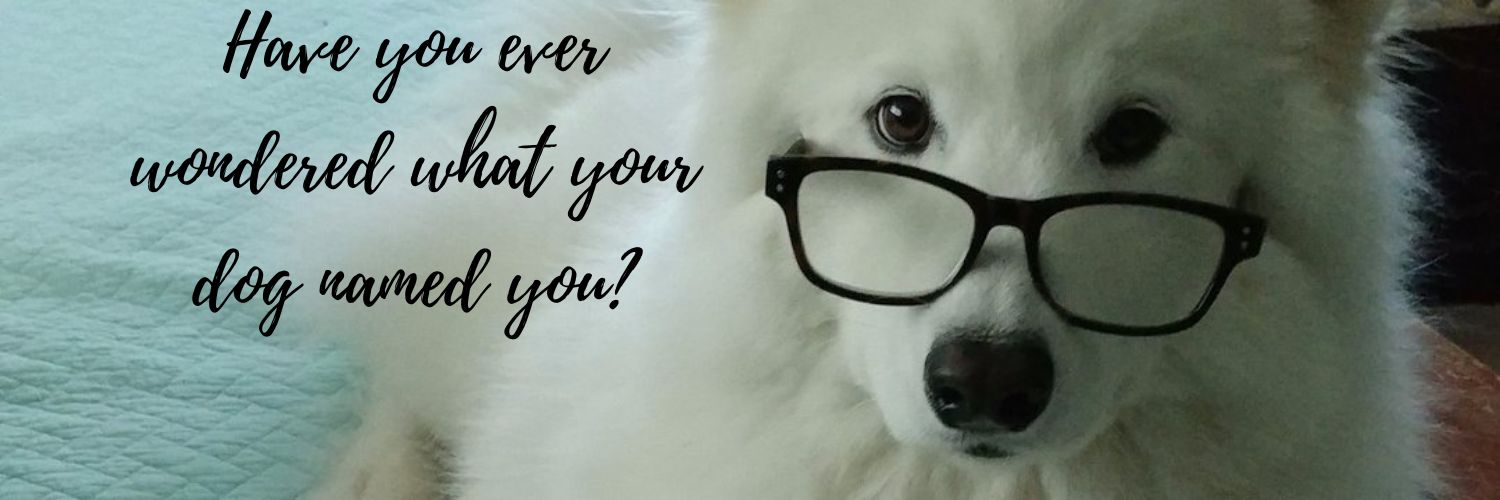 Surfside Sam 💜🌊 banner