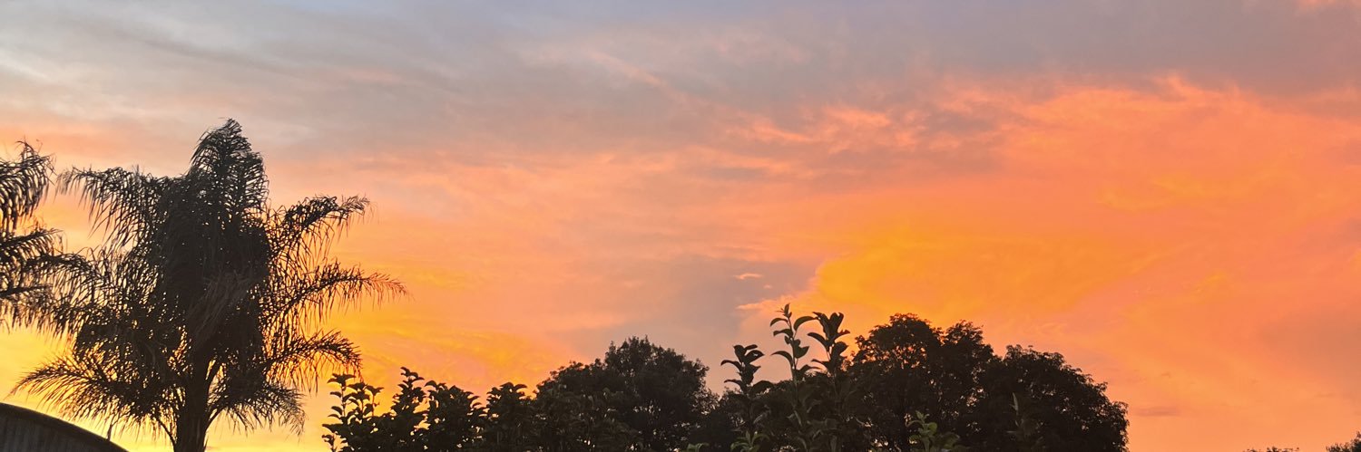parmala_'s profile banner image