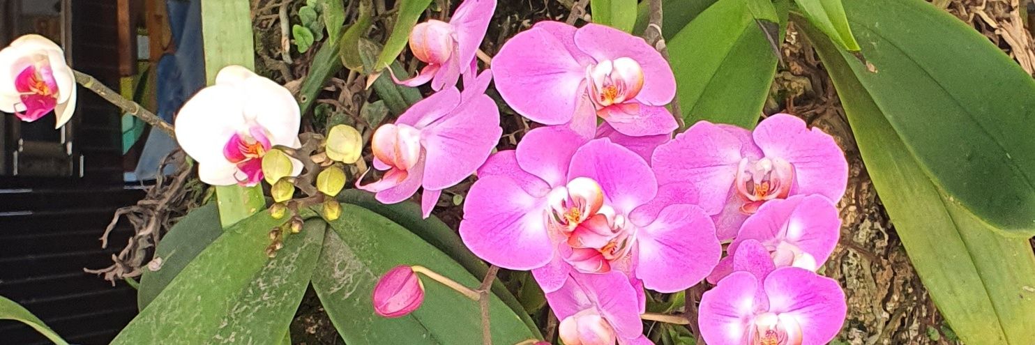 valedieleke's profile banner image