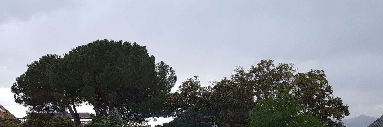 pardilloso's profile banner image
