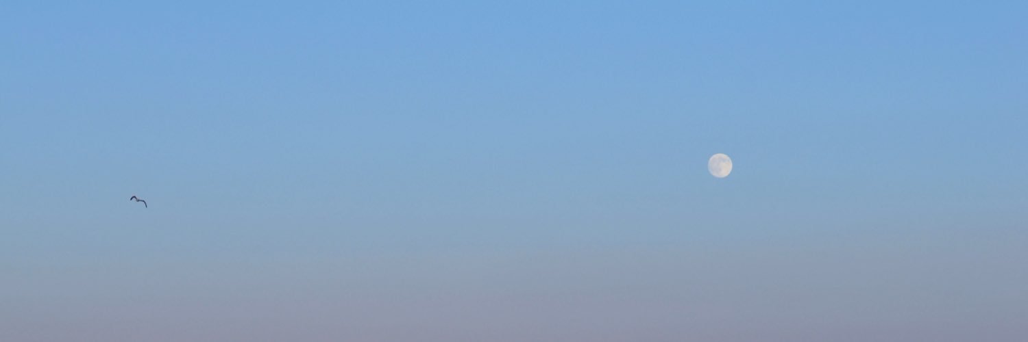 valbianxo's profile banner image