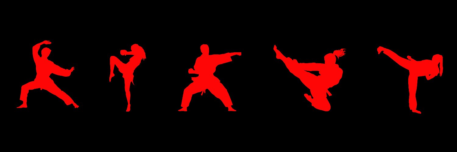 Ki Martial Arts banner